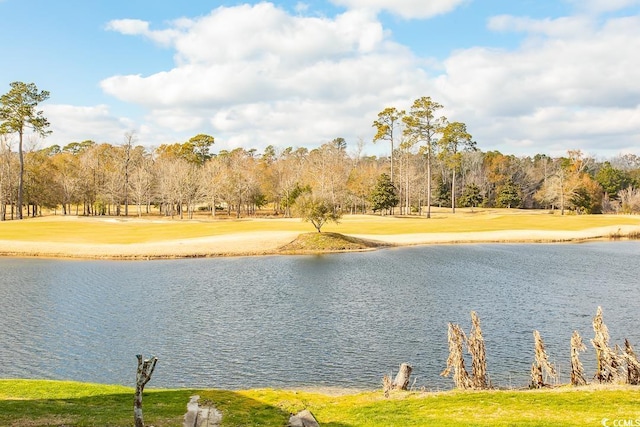 property view of water