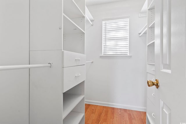 spacious closet featuring light wood-style flooring