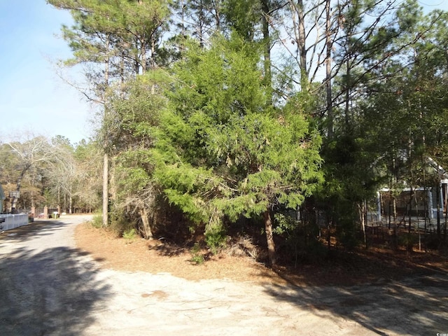 Listing photo 3 for 40 Pineberry Dr, Georgetown SC 29440