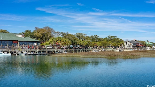 dock area with a water view
