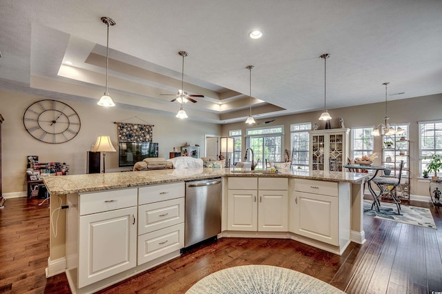 kitchen featuring a tray ceiling, dark wood-type flooring, and stainless steel dishwasher