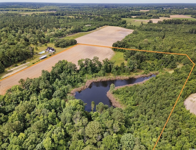 209 Buddy Rd, Hemingway SC, 29554 land for sale