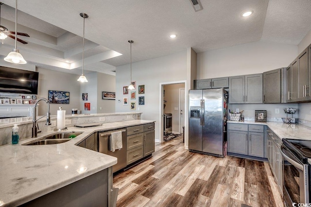 kitchen featuring gray cabinetry, a sink, light wood-style floors, appliances with stainless steel finishes, and a raised ceiling