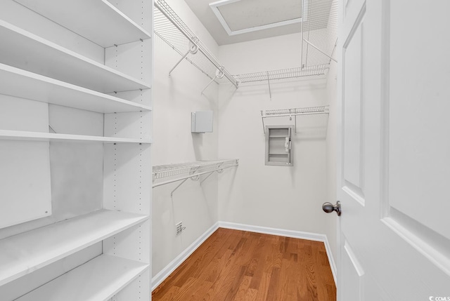 walk in closet featuring wood finished floors