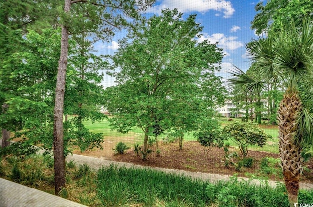 5750 Oyster Catcher Dr Unit 522, North Myrtle Beach, SC 29582 - view of yard