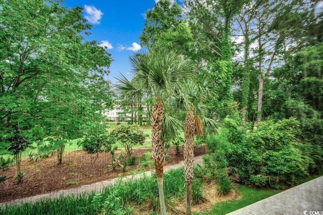 5750 Oyster Catcher Dr Unit 522, North Myrtle Beach, SC 29582 - view of yard