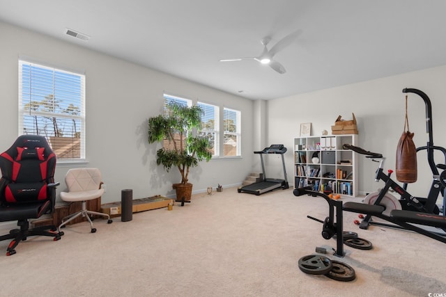 workout room with carpet floors, ceiling fan, and visible vents