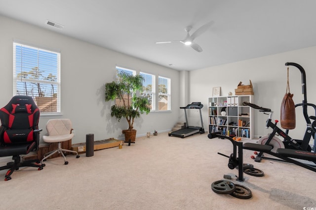2602 Blue Crane Cir Unit 104, Myrtle Beach, SC 29577 - photo 26