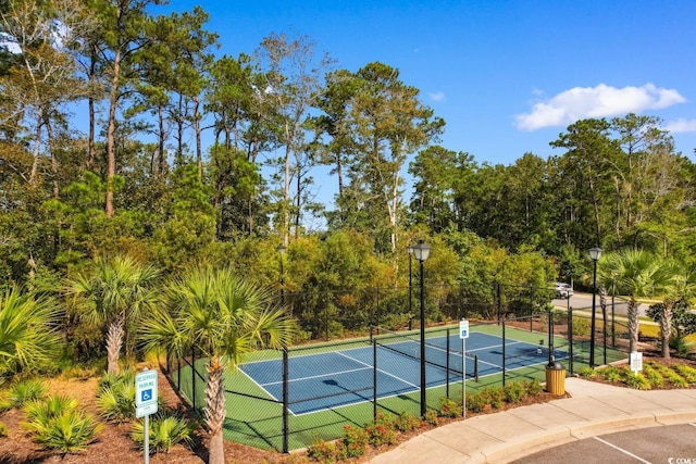 2602 Blue Crane Cir Unit 104, Myrtle Beach, SC 29577 - photo 35