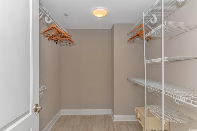 walk in closet featuring wood finished floors