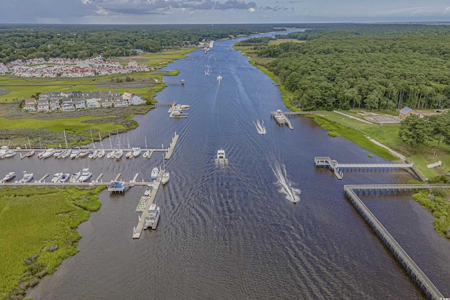 aerial view featuring a water view and a view of trees