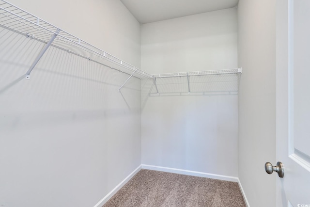 491 Wagner Cir, Conway, SC 29526 - spacious closet featuring carpet flooring