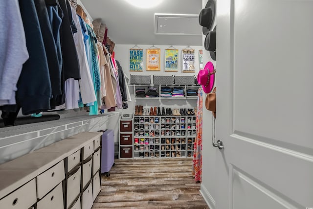 1118 Prescott Cir, Myrtle Beach, SC 29577 - walk in closet with wood finished floors and attic access