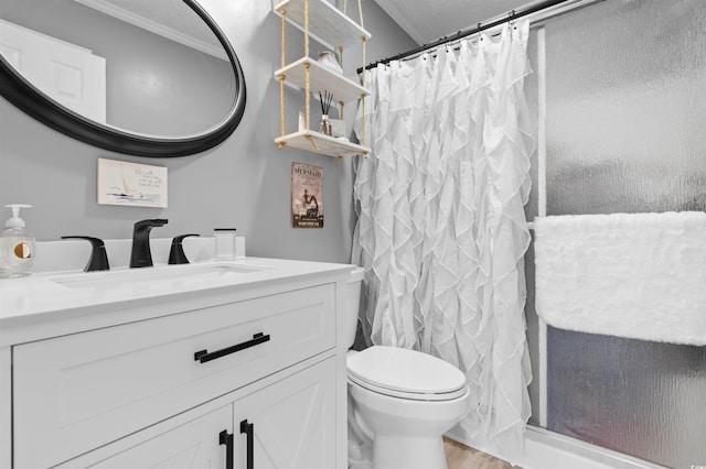 bathroom with a shower with curtain, toilet, and vanity