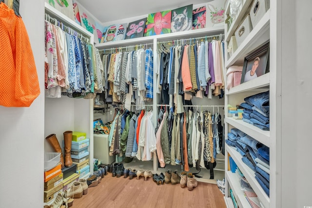 spacious closet featuring wood finished floors