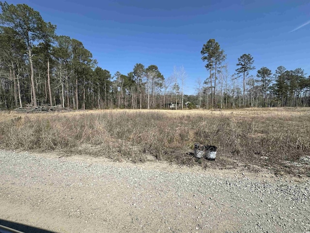 Listing photo 2 for TBD Leadwood St, Andrews SC 29510