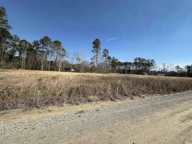 Listing photo 3 for TBD Leadwood St, Andrews SC 29510