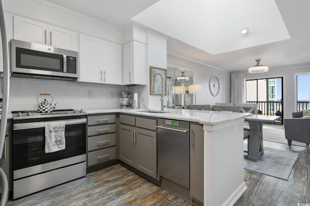 kitchen with a peninsula, a sink, appliances with stainless steel finishes, gray cabinets, and dark wood-style floors