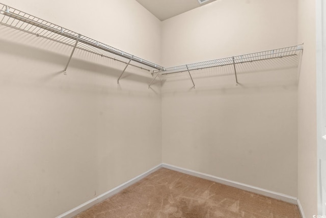 walk in closet featuring light colored carpet