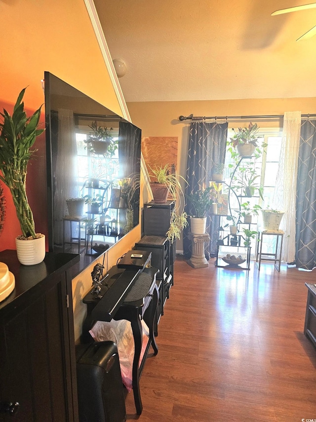 living area featuring wood finished floors