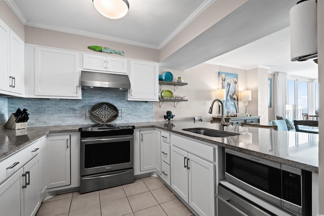 kitchen with ornamental molding, appliances with stainless steel finishes, a sink, and under cabinet range hood