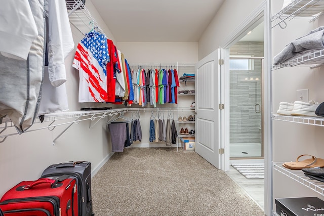 spacious closet featuring carpet floors