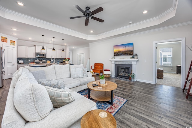 living area featuring baseboards, ornamental molding, a raised ceiling, and dark wood-style flooring