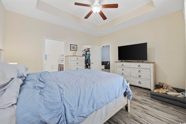 bedroom with a spacious closet, wood finished floors, and a raised ceiling