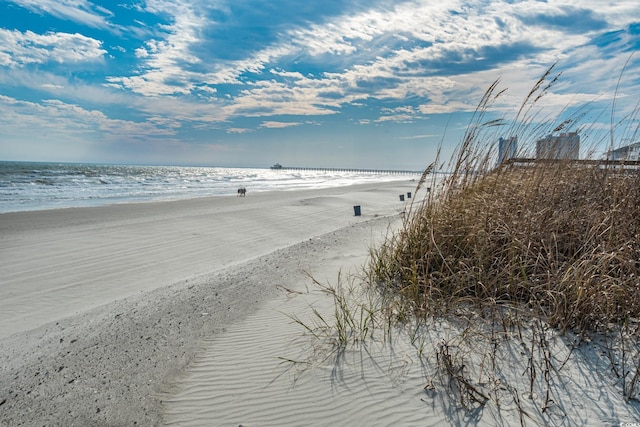 property view of water featuring a beach view