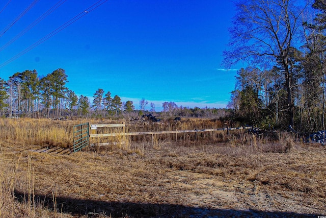 TBD Penderboro Rd, Marion SC, 29571 land for sale