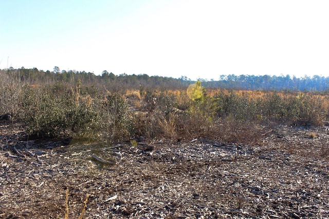 Listing photo 3 for TBD Penderboro Rd, Marion SC 29571