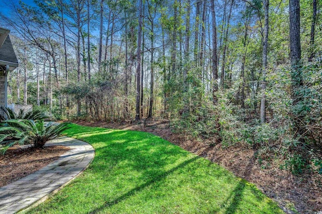 view of yard with a wooded view