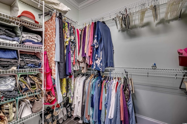 view of walk in closet