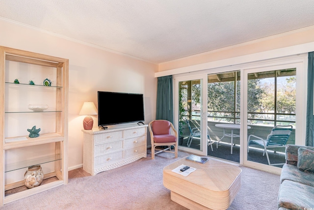 carpeted living area featuring crown molding, a textured ceiling, and baseboards