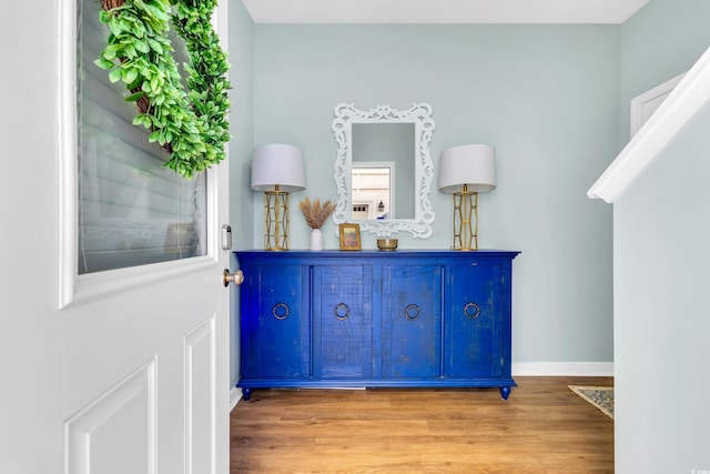 details with baseboards and wood finished floors