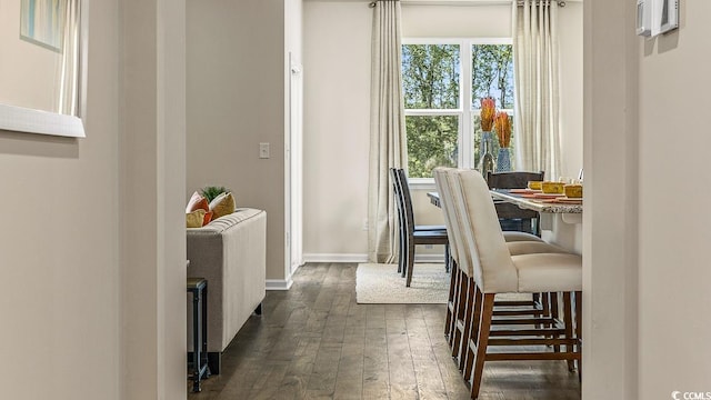 dining room with baseboards and dark wood-style flooring