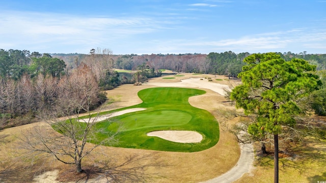 drone / aerial view with golf course view and a view of trees