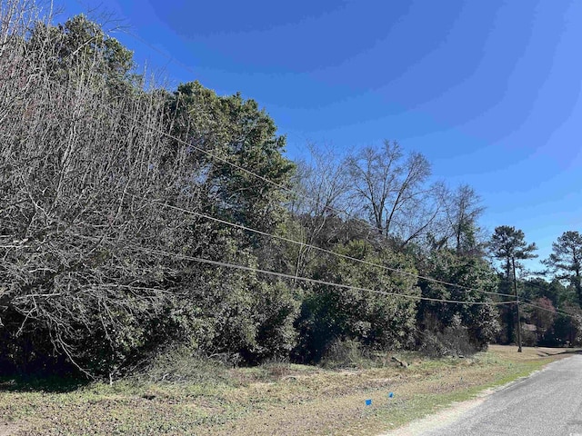 Listing photo 3 for TBD Legion St, Dillon SC 29536