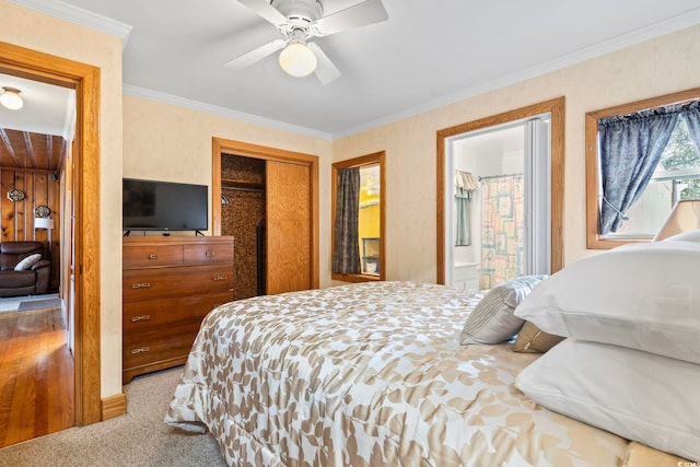 carpeted bedroom with ceiling fan, a closet, ensuite bathroom, and crown molding