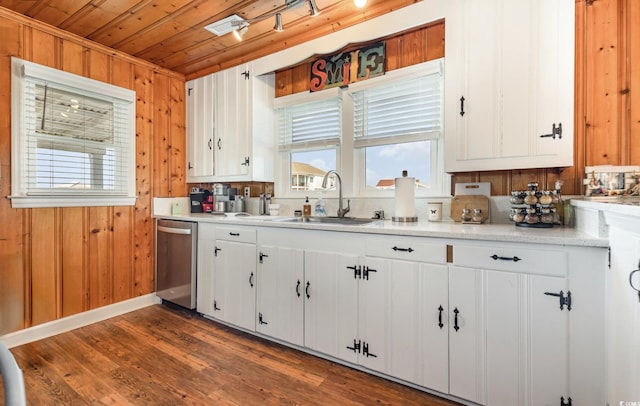 kitchen featuring a wealth of natural light, a sink, wooden walls, and stainless steel dishwasher