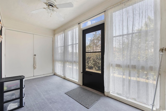 doorway with a ceiling fan, a wealth of natural light, and carpet flooring