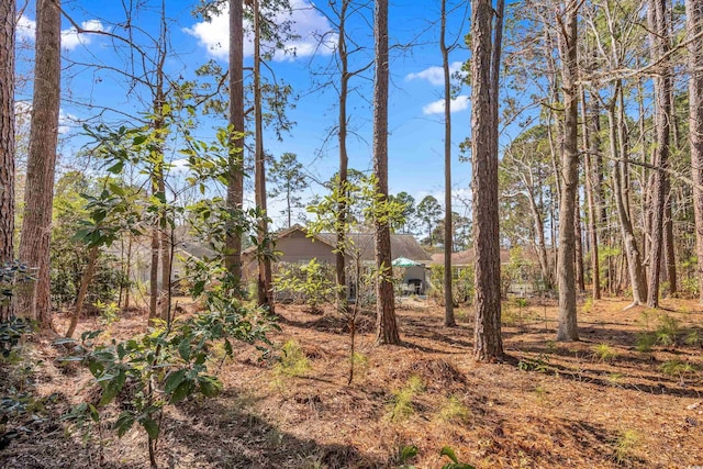 6634 Cinnamon Fern Ln, Myrtle Beach, SC 29588 - view of yard