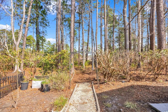 6634 Cinnamon Fern Ln, Myrtle Beach, SC 29588 - view of yard with a garden and fence