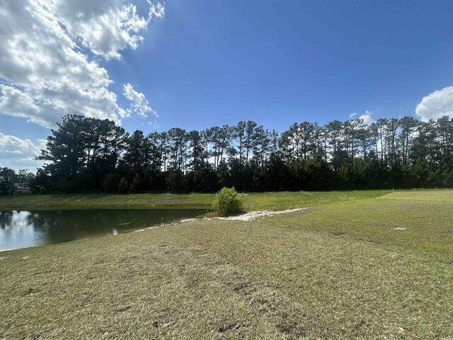 360 Kapalua Loop, Little River, SC 29566 - view of green lawn with a water view