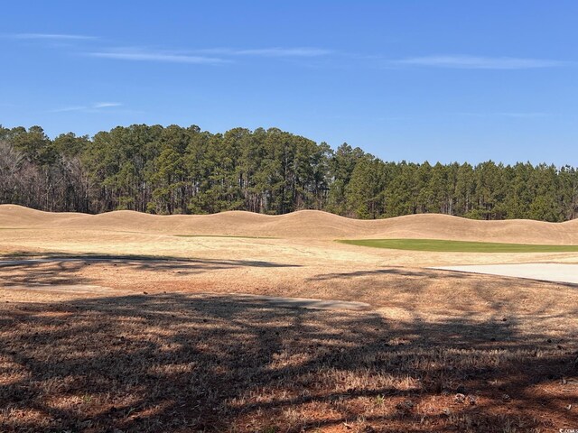 104 Long Bay Golf Pl, Longs, SC 29568 - photo 7
