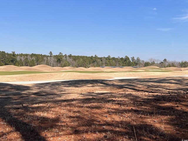 104 Long Bay Golf Pl, Longs, SC 29568 - photo 6