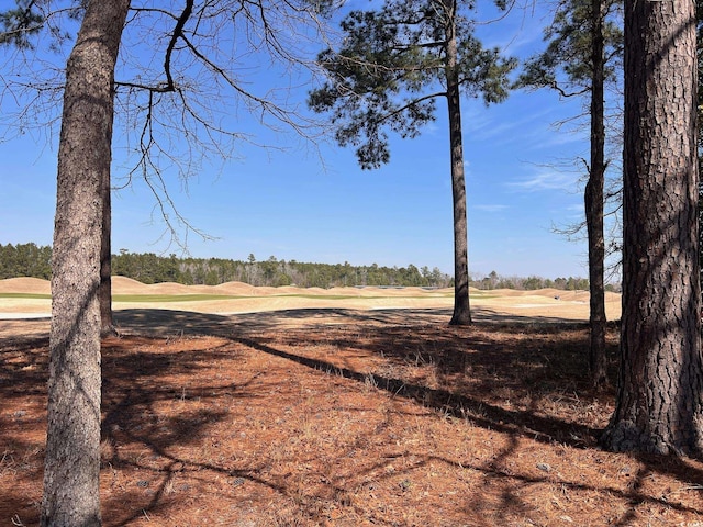 104 Long Bay Golf Pl, Longs, SC 29568 - photo 4