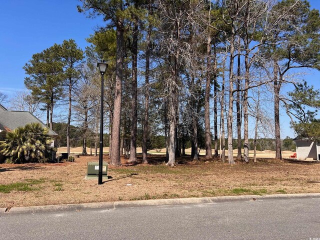 104 Long Bay Golf Pl, Longs, SC 29568 - photo 3