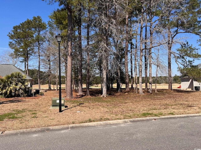 104 Long Bay Golf Pl, Longs, SC 29568 - photo 2