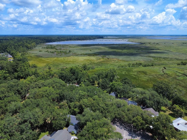 632 Magnolia Dr, Georgetown, SC 29440 - bird's eye view of a nearby body of water and a heavily wooded area